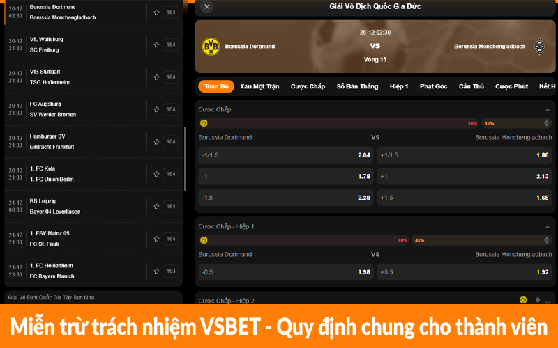 Miễn trừ trách nhiệm VSBET - Quy định chung cho thành viên