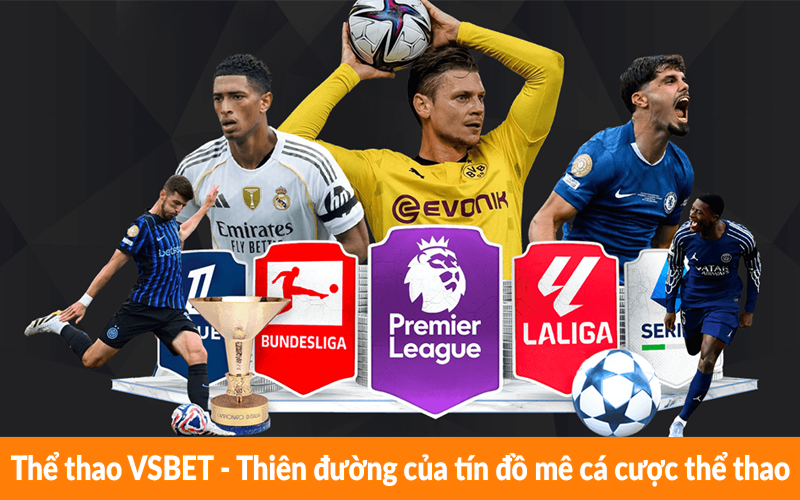 Thể thao VSBET – Thiên đường của tín đồ mê cá cược thể thao Thể thao VSBET - Thiên đường của tín đồ mê cá cược thể thao