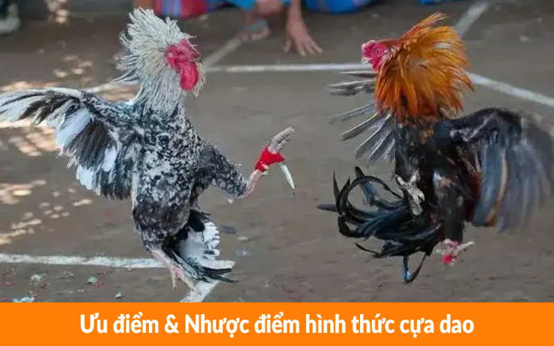 Ưu điểm & Nhược điểm hình thức cựa dao